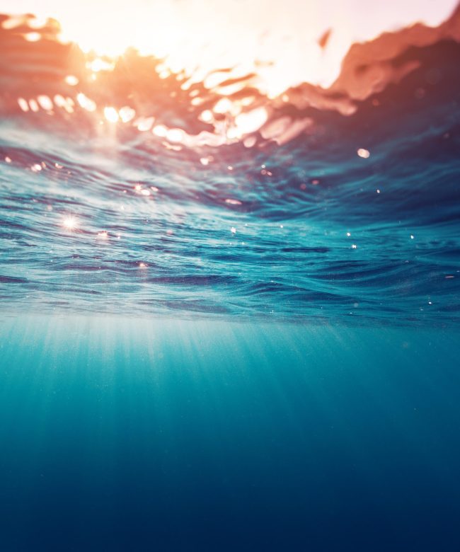 Underwater view of the sea surface