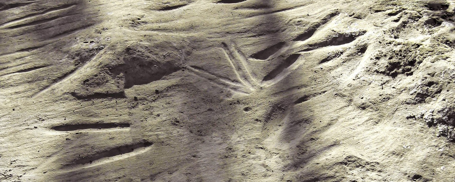 Aboriginal Grinding Grooves