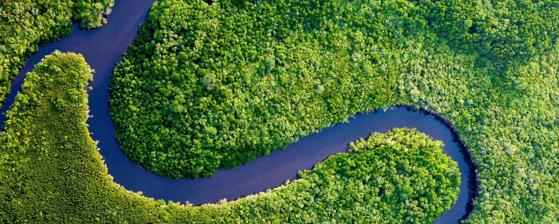 The Daintree Rainforest River Bends, Australia