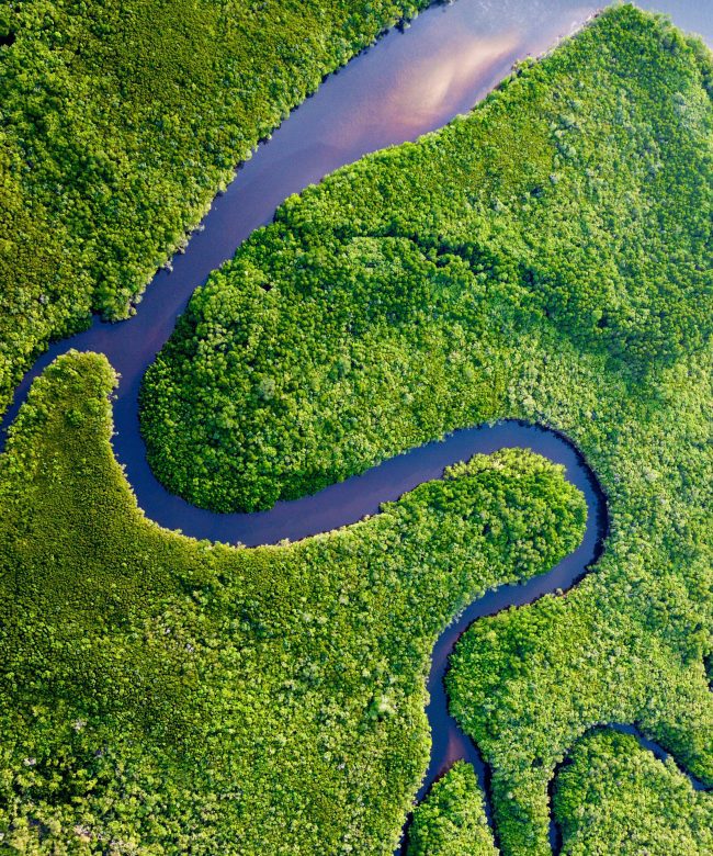 The Daintree Rainforest River Bends, Australia