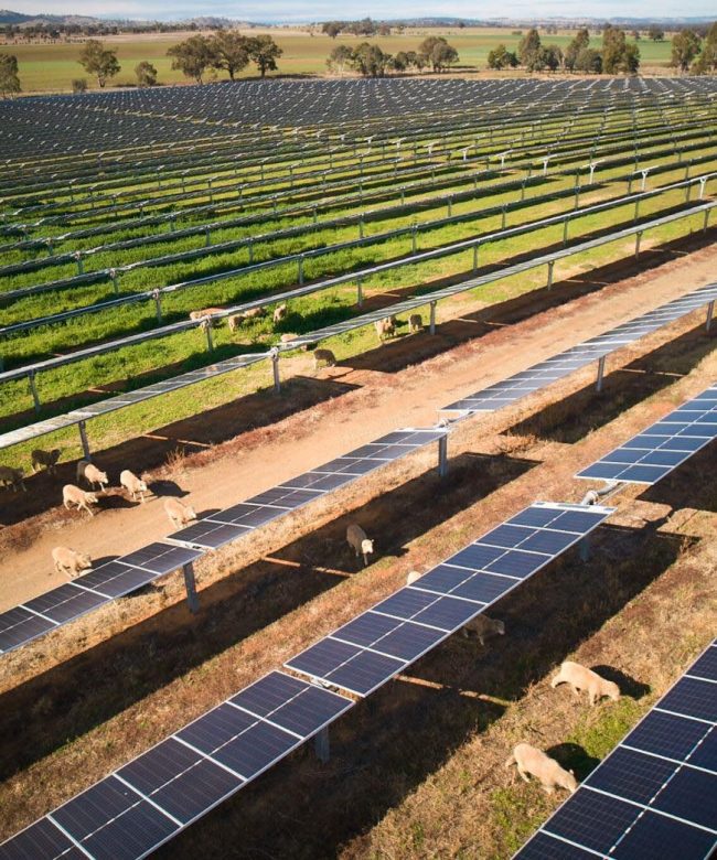Tallawang Solar Farm
