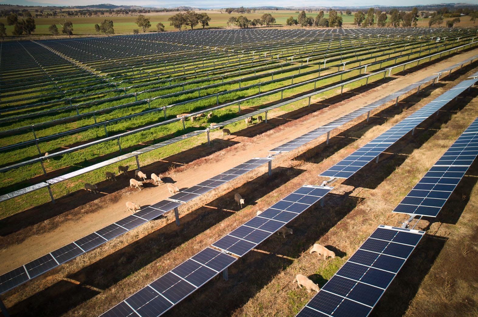 Tallawang Solar Farm