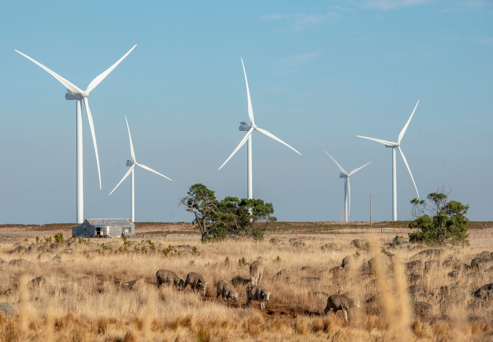 Wind turbine farm near Hamilton, Victoria, Australia.