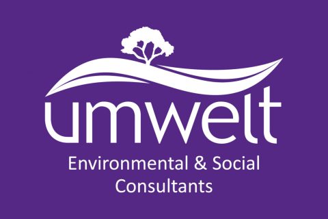 Umwelt Wear It Purple Logo