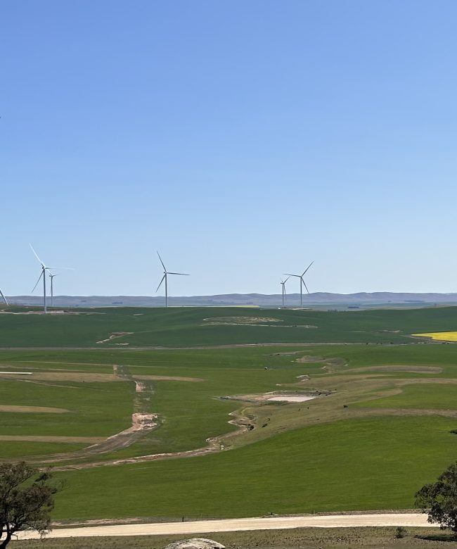 Goyder South Project