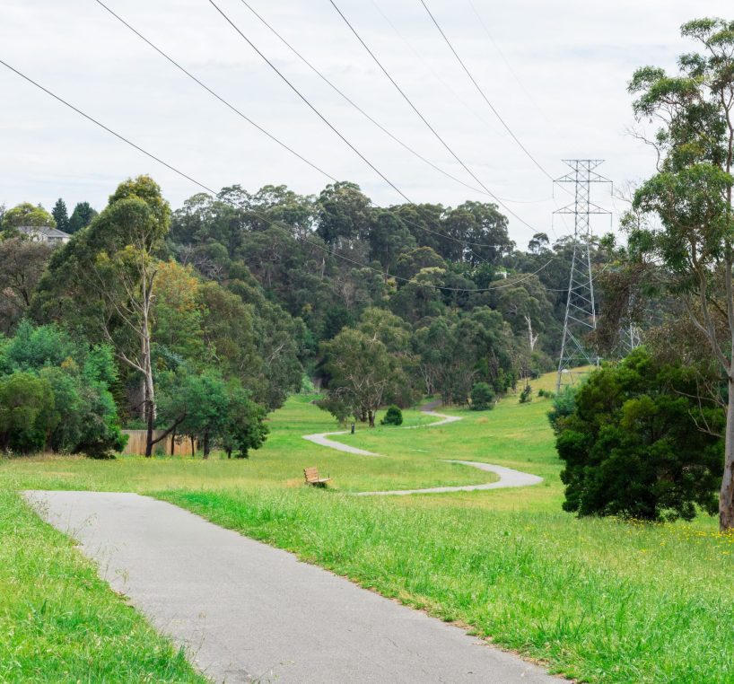 Transmission lines through green urban area